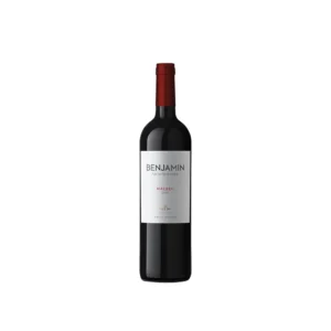 Vino Benjamín Malbec