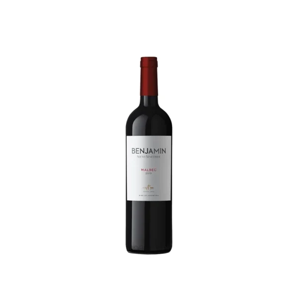 Vino Benjamín Malbec