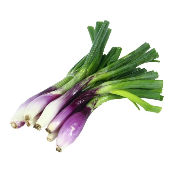 Cebolla de Verdeo Por Kg
