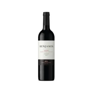 Vino Benjamín Malbec