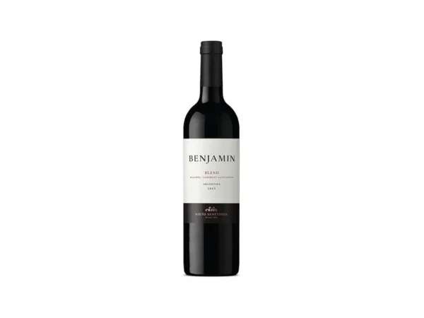 Vino Benjamín Malbec